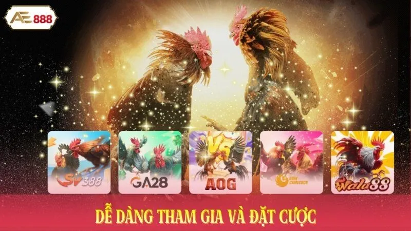 Dễ dàng tham gia và đặt cược